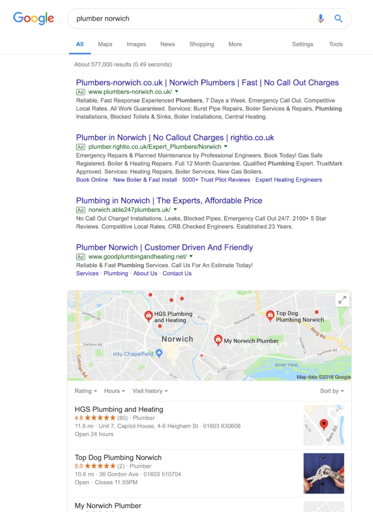 Example Google Search Engine Results